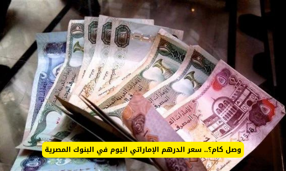 سعر الدرهم الاماراتي مقابل الجنيه المصري اليوم