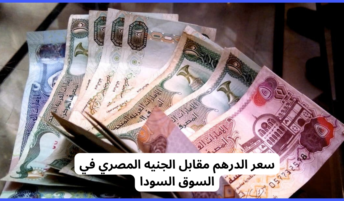 سعر الدرهم الاماراتي مقابل الجنيه المصري