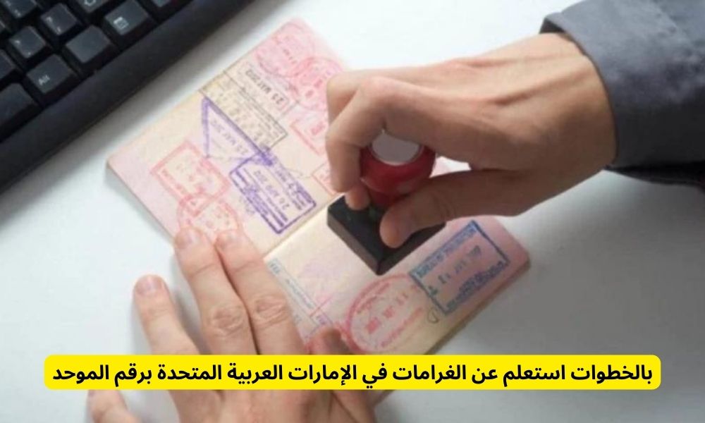 الاستعلام عن الغرامات برقم الهوية دبي
